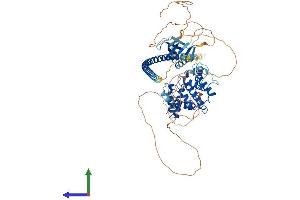 Protein Structure (PS) image for rho GTPase Activating Protein 22 (ARHGAP22) (AA 1-702) protein (His tag) (ABIN7564385)