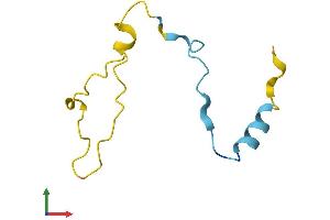 Protein Structure (PS) image for Calcium/calmodulin-Dependent Protein Kinase II Inhibitor 1 (CAMK2N1) (AA 1-78) protein (Fc Tag) (ABIN7546584)