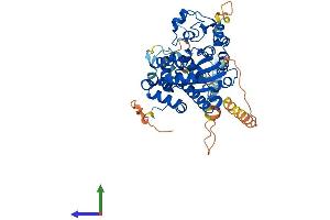 Protein Structure (PS) image for Carbohydrate (N-Acetylglucosamine 6-O) Sulfotransferase 7 (CHST7) (AA 1-486) protein (His tag) (ABIN7553479)