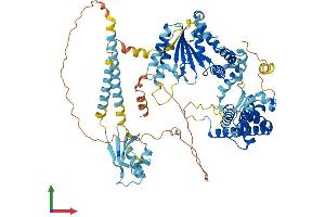 Protein Structure (PS) image for Spastic Paraplegia 7 (SPG7) (AA 1-781) protein (His tag) (ABIN7557220)