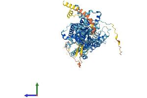 Protein Structure (PS) image for Solute Carrier Family 26, Member 4 (SLC26A4) (AA 1-780) protein (His tag) (ABIN7555326)