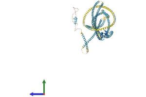 AlphaFold protein structure predicition of Mouse Recombinant Eea1 Protein, UniprotID Q8BL66 (EEA1 Protein (AA 1-1411) (His tag))