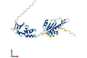 AlphaFold protein structure predicition of Human Recombinant KCTD10 Protein, UniprotID Q9H3F6