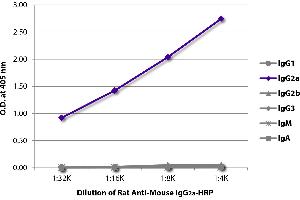 ELISA plate was coated with purified mouse IgG1, IgG2a, IgG2b, IgG3, IgM, and IgA. (大鼠 anti-小鼠 IgG2a Antibody (HRP))