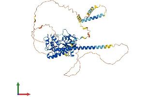 Protein Structure (PS) image for Heparan Sulfate 6-O-Sulfotransferase 2 (HS6ST2) (AA 1-612) protein (His tag) (ABIN7558343)