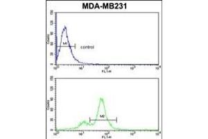 Flow Cytometry (FACS) image for anti-Cytochrome P450, Family 2, Subfamily A, Polypeptide 13 (CYP2A13) (AA 446-477), (C-Term) antibody (ABIN652591)