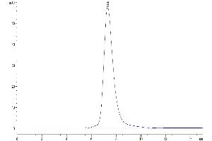 The purity of Biotinylated Human LILRB3 is greater than 95 % as determined by SEC-HPLC.
