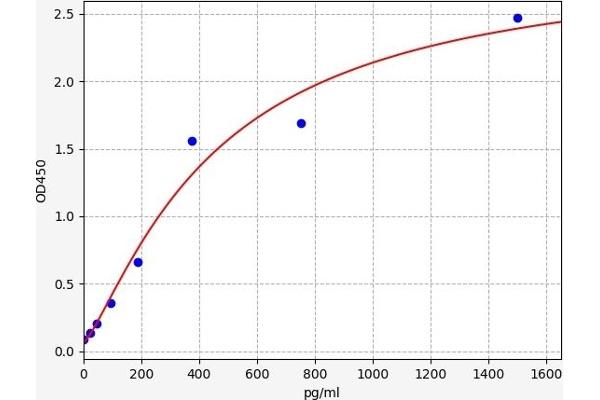 KEAP1 ELISA 试剂盒
