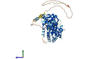 Protein Structure (PS) image for Calcyphosine 2 (CAPS2) (AA 1-550) protein (His tag) (ABIN7558898)