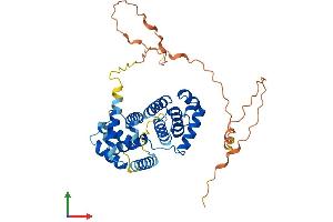 AlphaFold protein structure predicition of Mouse Recombinant Ccni Protein, UniprotID Q9Z2V9