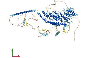 Protein Structure (PS) image for PAX3 and PAX7 Binding Protein 1 (PAXBP1) (AA 1-919) protein (His tag) (ABIN7563469)