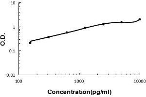 anti-Interleukin 15 Receptor, alpha (IL15RA) (AA 31-174) antibody