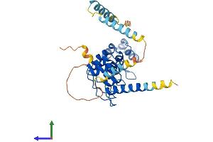 Protein Structure (PS) image for Ankyrin Repeat Domain 1 (Cardiac Muscle) (ANKRD1) (AA 1-319) protein (His tag) (ABIN7552217)