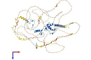 Deoxynucleotidyltransferase, Terminal, Interacting Protein 2 (DNTTIP2) (AA 1-756) protein (His tag)