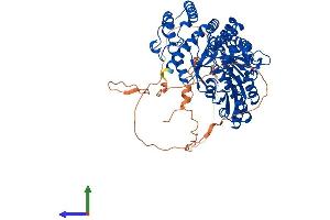 Protein Structure (PS) image for Histidine Decarboxylase (HDC) (AA 1-662) protein (His tag) (ABIN7547062)