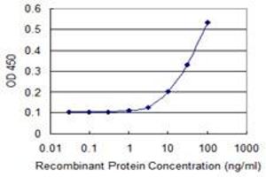 Detection limit for recombinant GST tagged GK5 is 3 ng/ml as a capture antibody. (GK5 抗体  (AA 1-89))