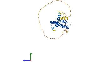 Protein Structure (PS) image for Hairy and Enhancer of Split 6 (HES6) (AA 1-224) protein (His tag) (ABIN7548265)