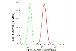 Flow cytometric analysis of IDH1 expression in C2C12 cells using IDH1 antibody (ABIN7799133), 1:2,000).