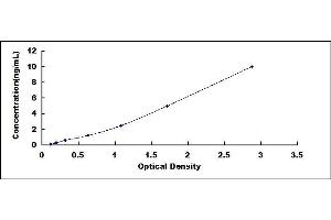 Typical standard curve (JAK1 ELISA 试剂盒)