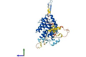 Protein Structure (PS) image for Organic Solute Carrier Partner 1 (OSCP1) (AA 1-389) protein (His tag) (ABIN7550536)