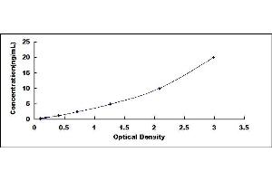Typical standard curve (APOBEC3B ELISA 试剂盒)