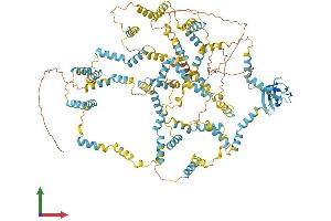Protein Structure (PS) image for Nebulette (NEBL) (AA 1-1014) protein (His tag) (ABIN7554680)