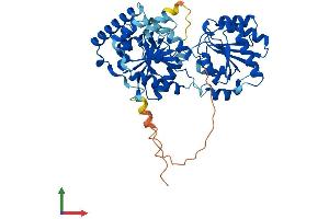 Protein Structure (PS) image for Phosphatidylinositol Glycan Anchor Biosynthesis, Class A (PIGA) (AA 1-484) protein (His tag) (ABIN7550757)