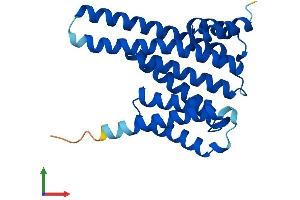 Protein Structure (PS) image for 14-3-3 gamma (YWHAG1) (AA 1-247) protein (His tag) (ABIN7542933)