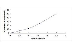 Typical standard curve (HDAC1 ELISA 试剂盒)