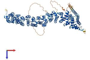 VAC14 Protein (AA 1-782) (His tag)