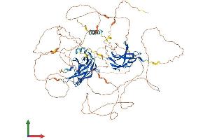AlphaFold protein structure predicition of Mouse Recombinant Nfatc2 Protein, UniprotID Q60591