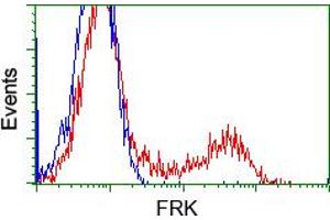 HEK293T cells transfected with either pCMV6-ENTRY FRK (RC204460) (Red) or empty vector control plasmid (Blue) were immunostained with anti-FRK mouse monoclonal (ABIN2452598, Dilution 1:1,000), and then analyzed by flow cytometry. (FRK 抗体)