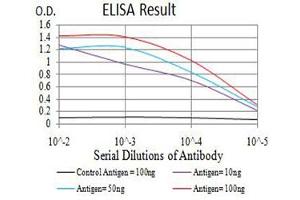 Black line: Control Antigen (100 ng),Purple line: Antigen (10 ng), Blue line: Antigen (50 ng), Red line:Antigen (100 ng)