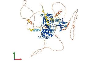 AlphaFold protein structure predicition of Human Recombinant EPB41L4A Protein, UniprotID Q9HCS5