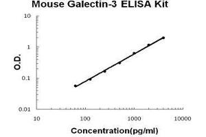 Mouse Galectin-3/LGALS3 PicoKine ELISA Kit standard curve