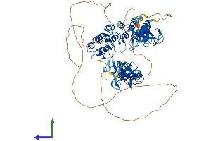 Protein Structure (PS) image for CAP-GLY Domain Containing Linker Protein Family, Member 4 (CLIP4) (AA 1-704) protein (His tag) (ABIN7559368)