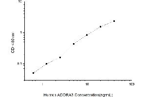 Typical standard curve (Adenosine A3 Receptor ELISA 试剂盒)