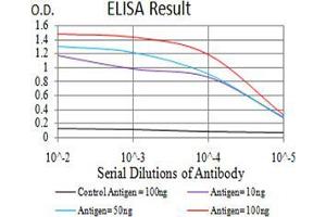 Black line: Control Antigen (100 ng),Purple line: Antigen (10 ng), Blue line: Antigen (50 ng), Red line:Antigen (100 ng) (CIRBP 抗体  (AA 1-90))