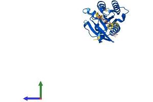 Protein Structure (PS) image for RAB20, Member RAS Oncogene Family (RAB20) (AA 1-233) protein (His tag) (ABIN7563163)