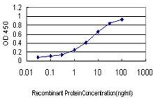 Detection limit for recombinant GST tagged FBXO22 is approximately 0. (FBXO22 抗体  (AA 1-299))