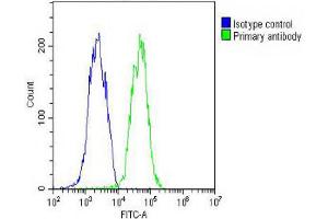 Overlay histogram showing HepG2 cells stained with Antibody (green line). (ID1 抗体  (AA 66-93))