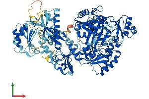 AlphaFold protein structure predicition of Human Recombinant CARNS1 Protein, UniprotID A5YM72