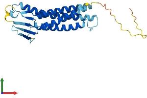 Protein Structure (PS) image for Claudin 5 (CLDN5) (AA 1-218) protein (His tag) (ABIN7553395)