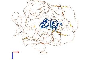 IRS2 Protein (AA 1-1338) (His tag)