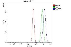 Flow Cytometry analysis of U87 cells using anti-TXNDC5 antibody (ABIN7599699).