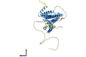 Protein Structure (PS) image for Solute Carrier Family 30 (Zinc Transporter), Member 6 (SLC30A6) (AA 1-461) protein (His tag) (ABIN7545418)