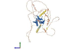 Protein Structure (PS) image for NEDD4 Binding Protein 2-Like 2 (N4BP2L2) (AA 1-575) protein (His tag) (ABIN7559404)
