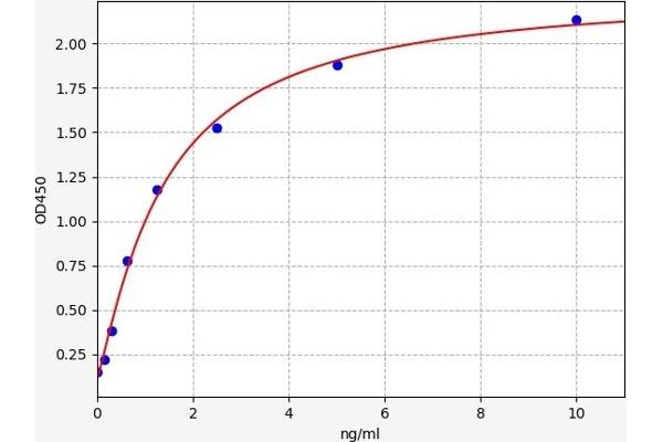 NMUR1 ELISA 试剂盒