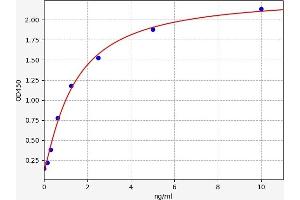 Typical standard curve (NMUR1 ELISA 试剂盒)