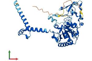 AlphaFold protein structure predicition of Mouse Recombinant Sirt7 Protein, UniprotID Q8BKJ9